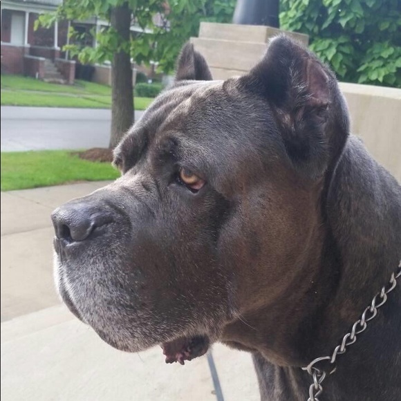 I'm Roetta. - Picture 3 of 11